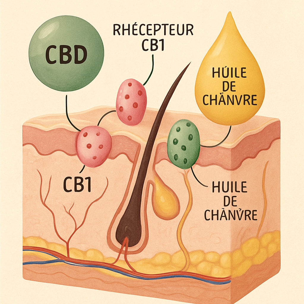 découvrez comment le cannabis révolutionne le monde de la cosmétique en alliant beauté naturelle et innovations tendance pour une peau éclatante et saine.